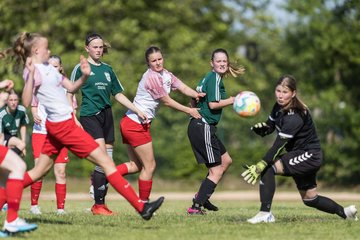 Bild 274 - wBJ TuRa Meldorf - Walddoerfer : Ergebnis: 0:4